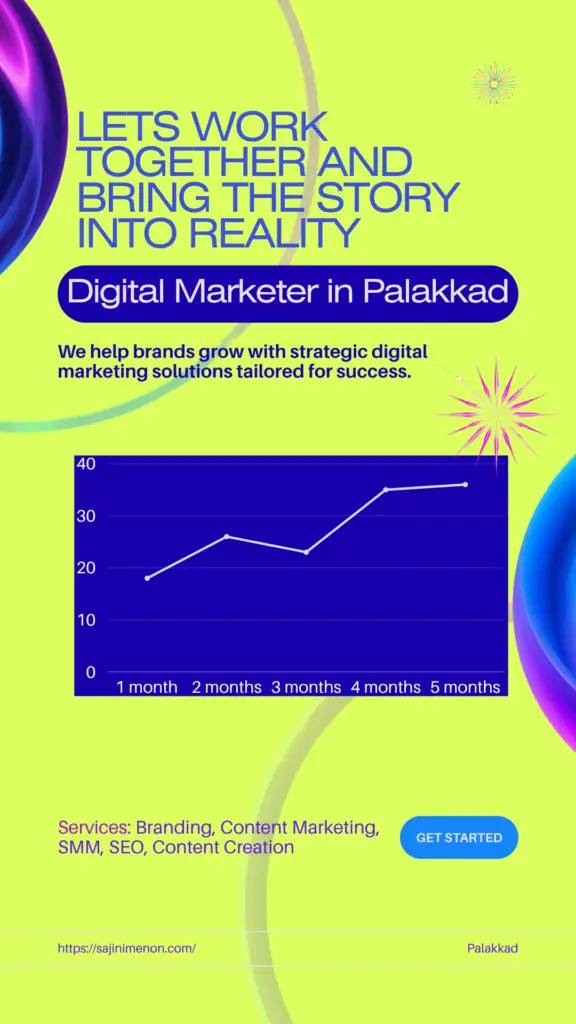Sajini P Digital Marketing Services